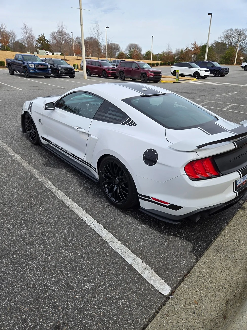 S650 Mustang 2019 Mustang GT Fastback (Troutman NC)($36,500) 20260217_144446