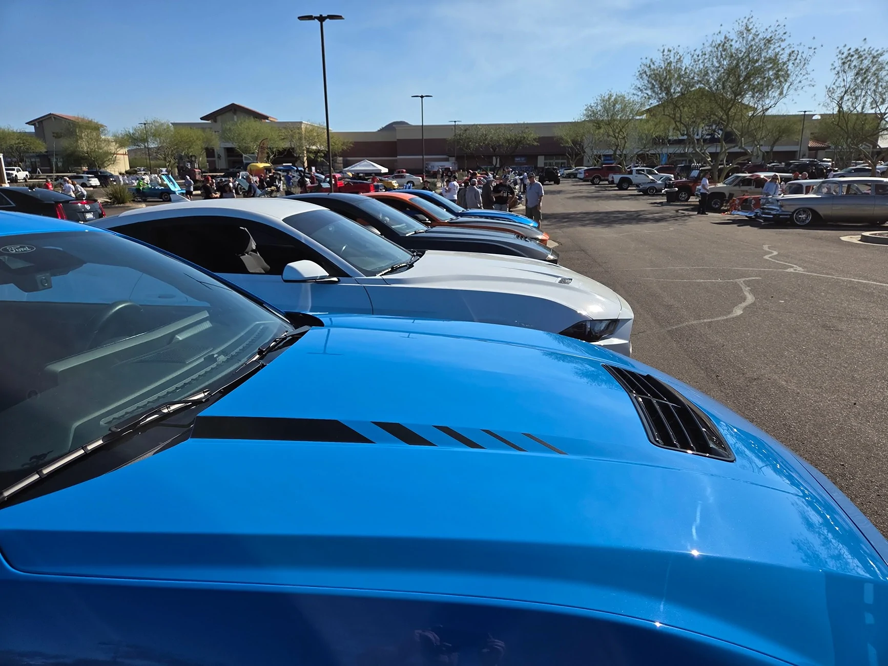 S650 Mustang To stripe or not to stripe...? 17090