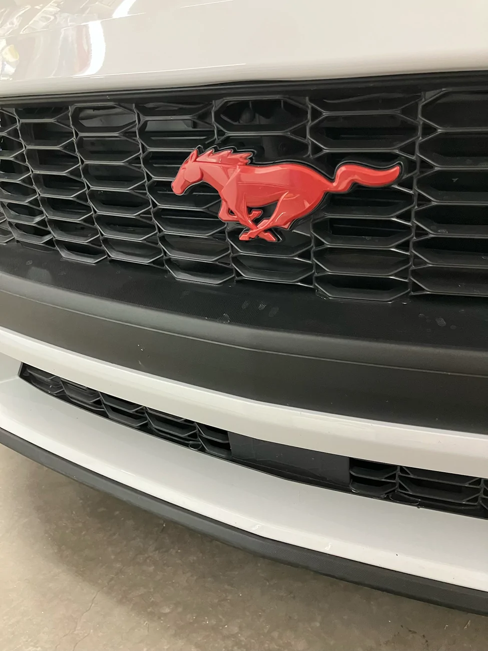 S650 Mustang To stripe or not to stripe...? tempImagezJfJAu