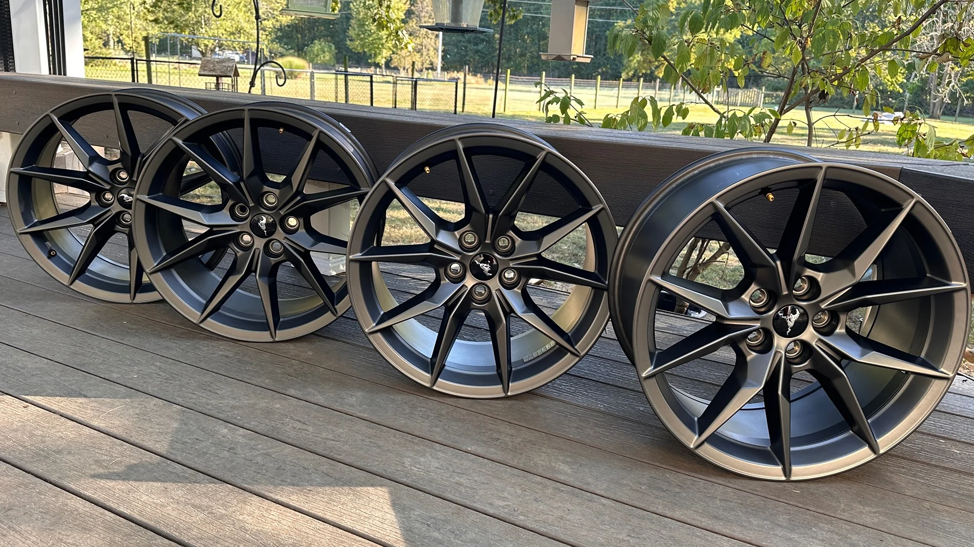 S650 Mustang Mustang s650 OEM Dark Horse Wheels 19”x9.5”/19”x10” IMG_9968