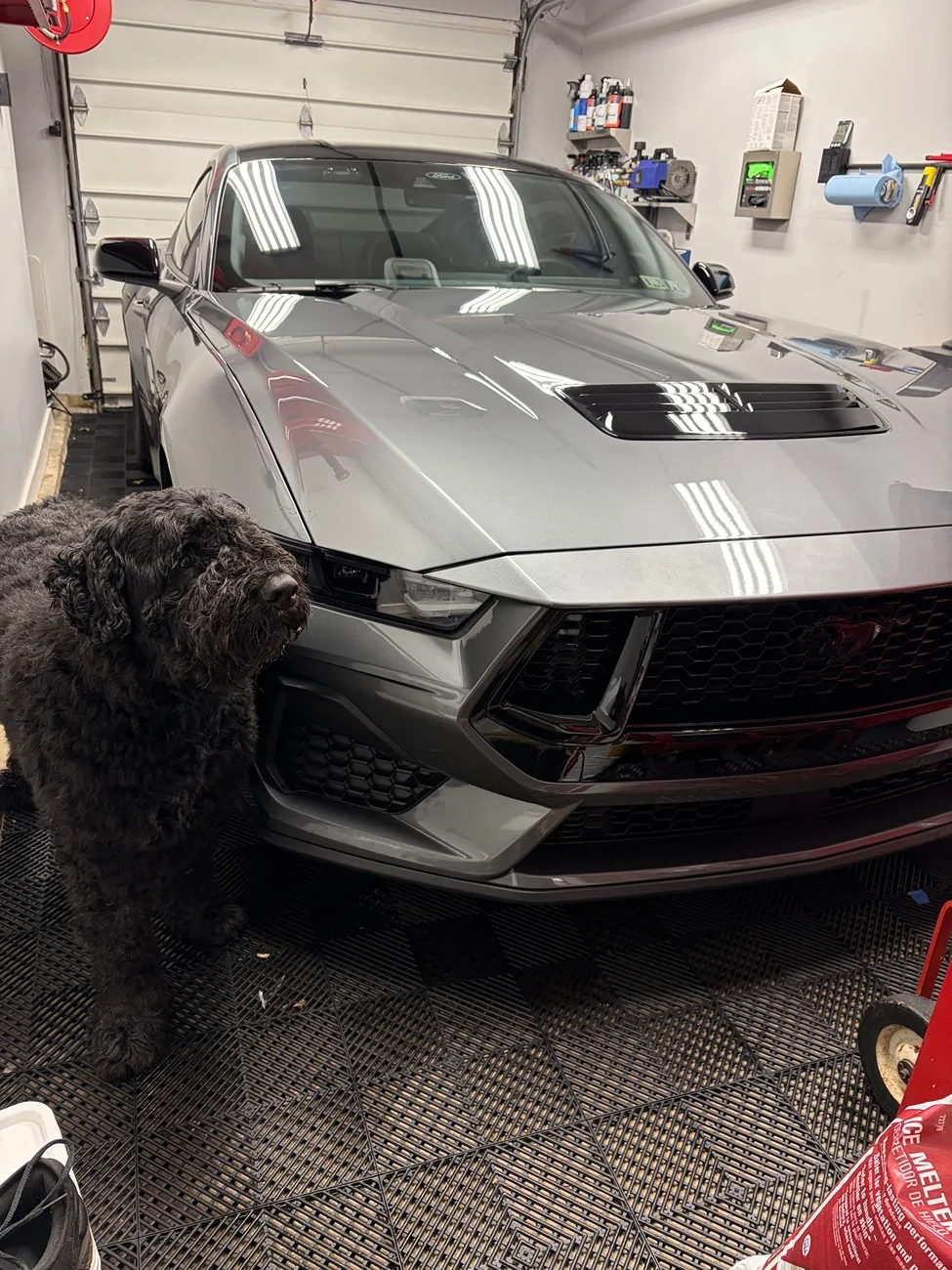 S650 Mustang Carbonized Gray Touch Up Paint not matching IMG_5193