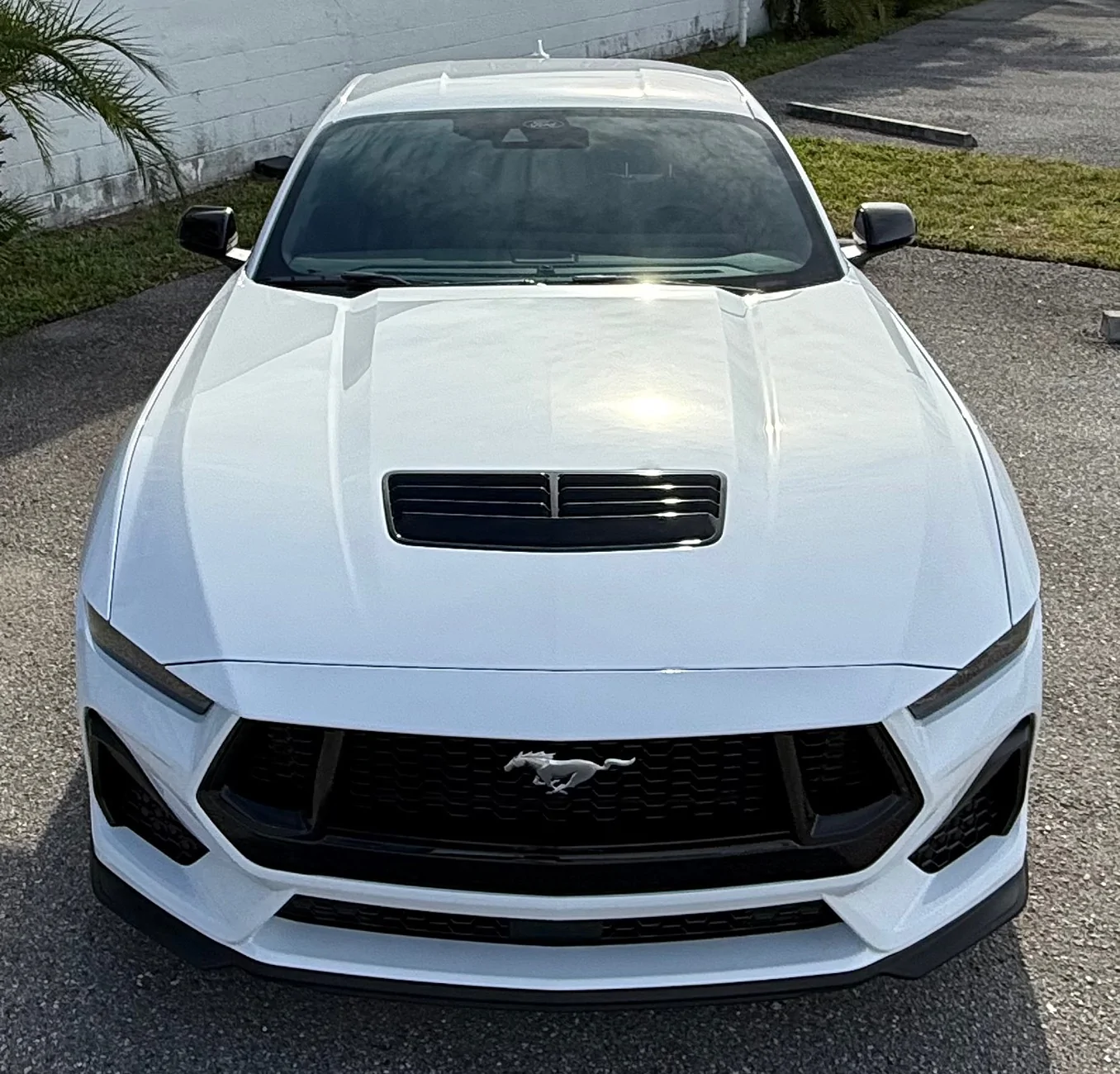 S650 Mustang What did you do to your S650 Mustang today?? 🙋🏻‍♂️ IMG_8134
