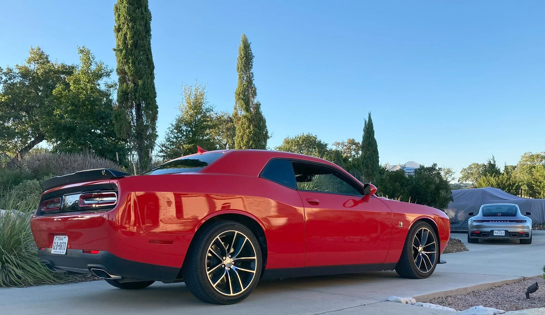 S650 Mustang To stripe or not to stripe...? dodge best