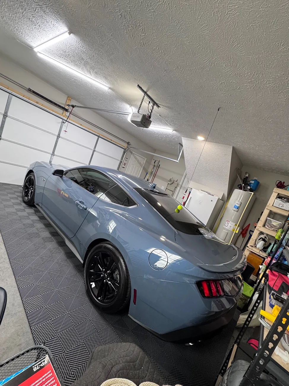 S650 Mustang What did you do to your S650 Mustang today?? 🙋🏻‍♂️ IMG_8571