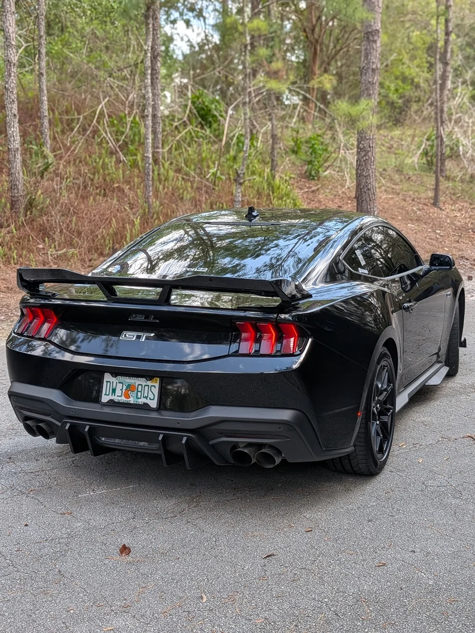 S650 Mustang Almost a year with my GT + Build Update PXL_20260315_184437813.PORTRAIT