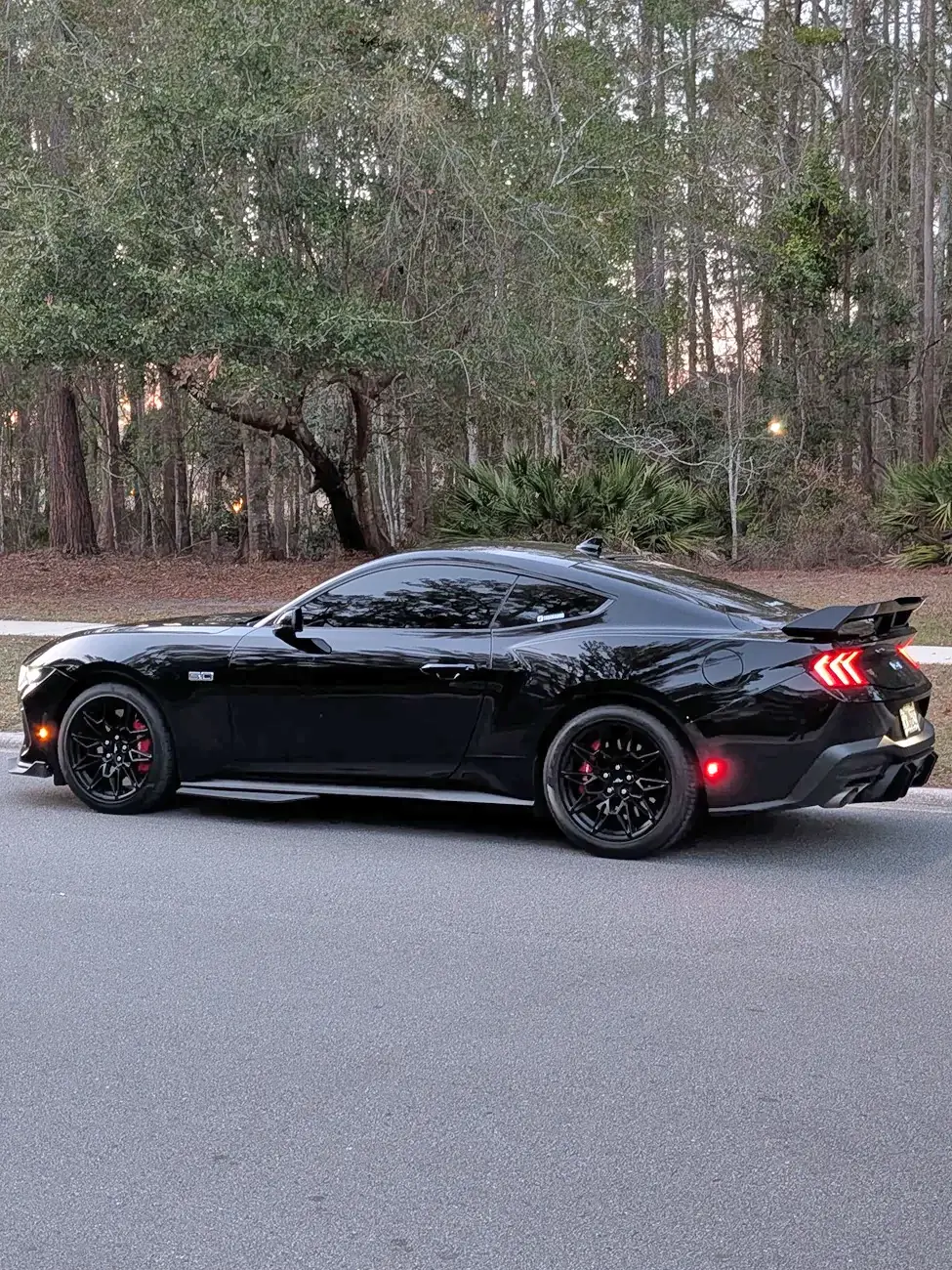 S650 Mustang Almost a year with my GT + Build Update 595351-91d794a0cc1012d8c6cc6af6d937a908