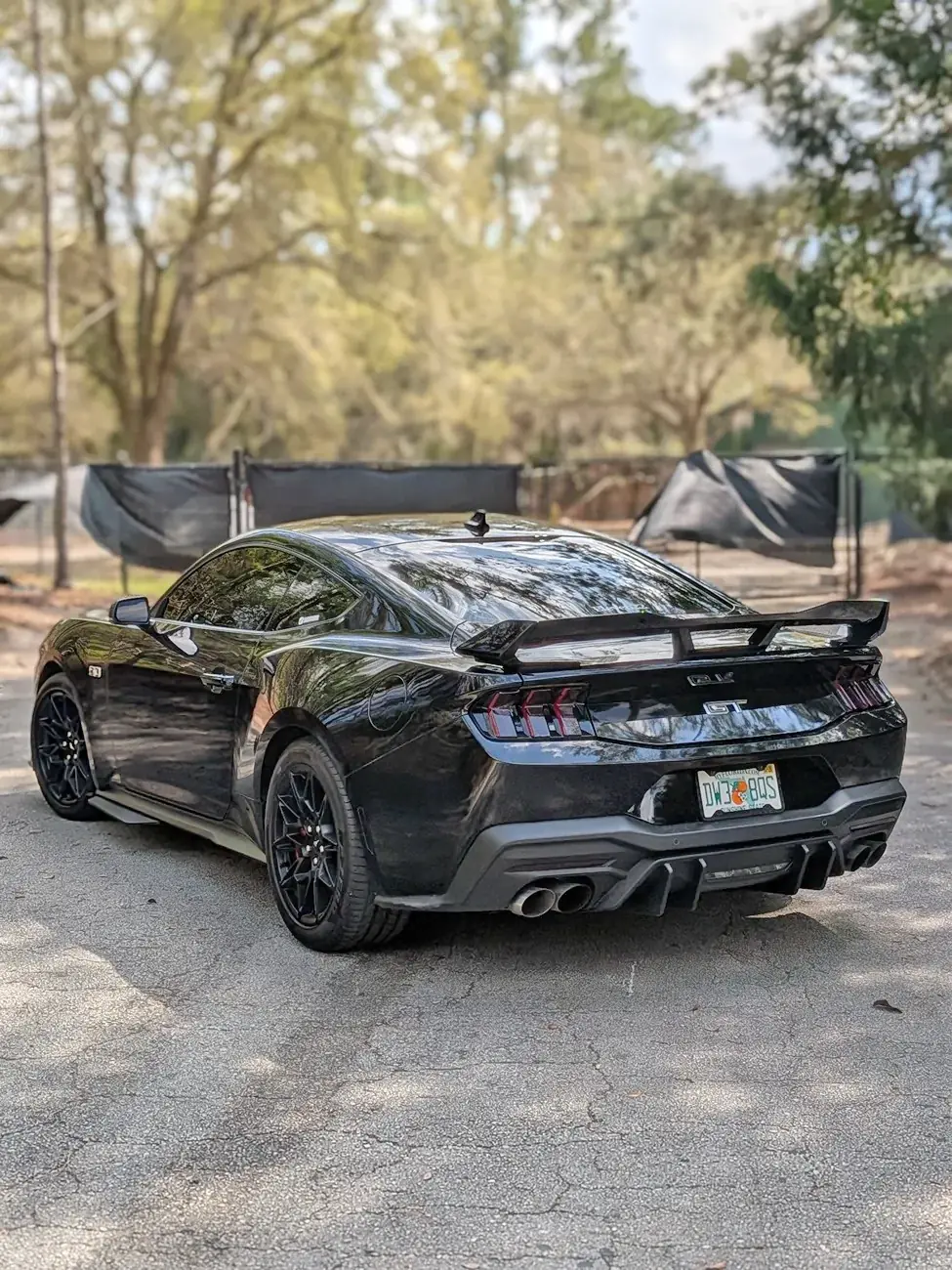 S650 Mustang Almost a year with my GT + Build Update 595353-2cf0b33c188100dc3d8949c099a8f18c