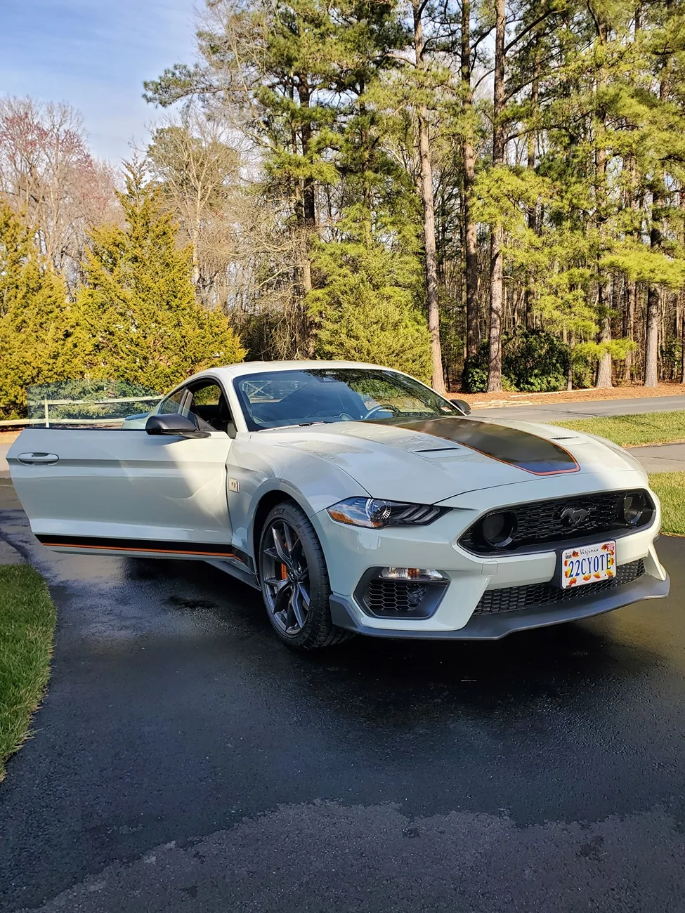 S650 Mustang GT350 vs Mach 1 vs Dark Horse (Same Price Now?) – Real Drive Comparison 2023_Mach1
