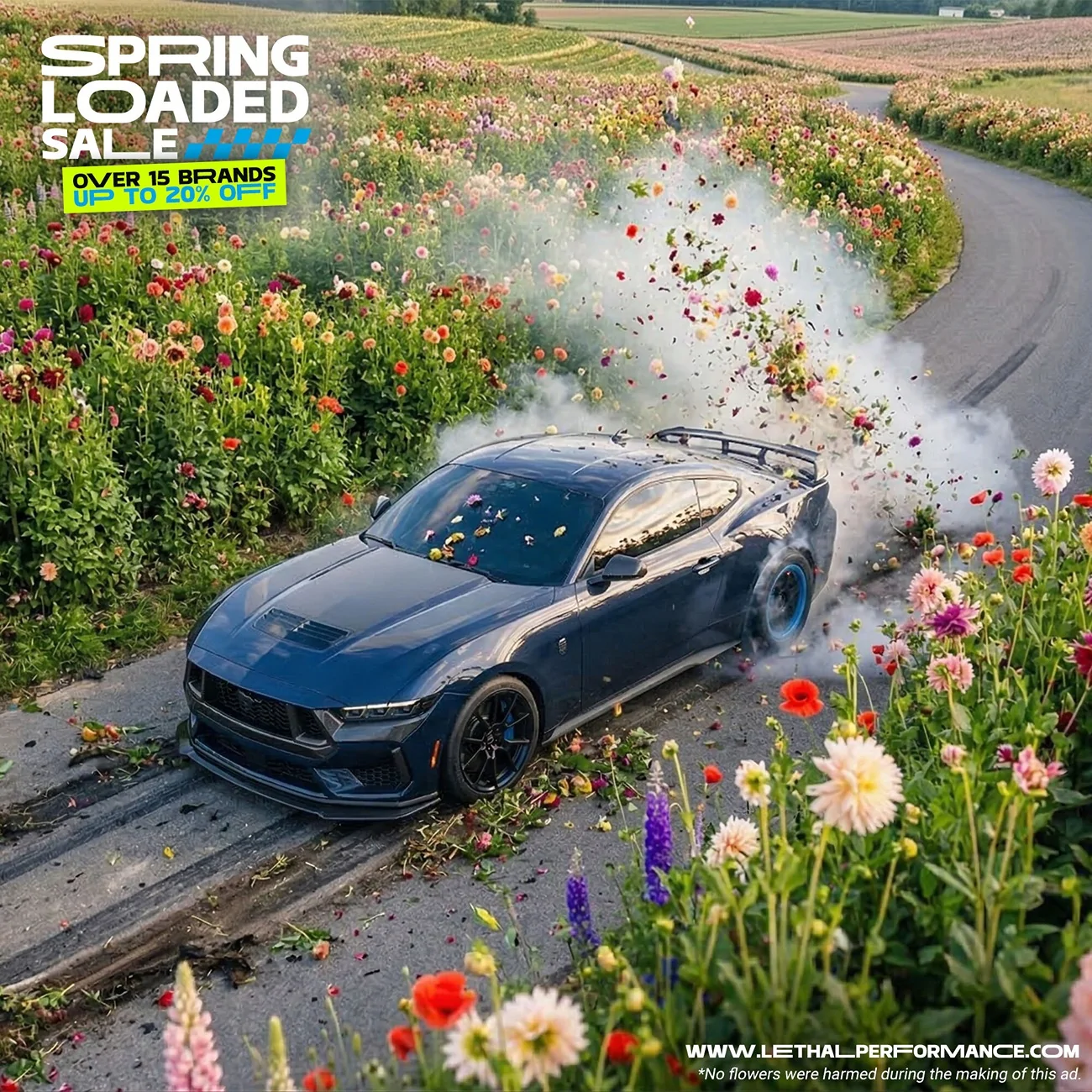 S650 Mustang SPRING LOADED SALE AT LETHAL PERFORMANCE! mintext_mustang2