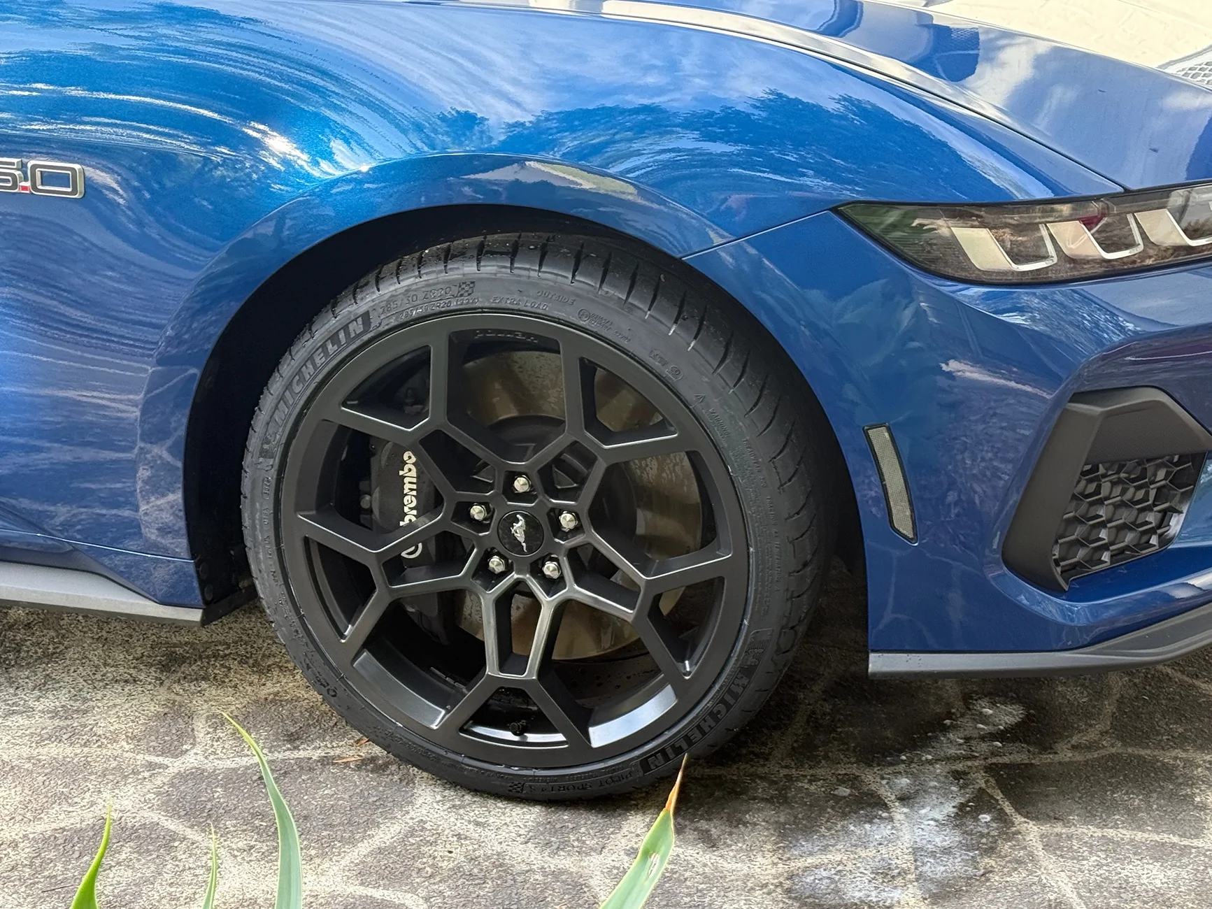 S650 Mustang Cool Daily Random S650 Mustang Pics -- Post Yours! 📸 IMG_2060