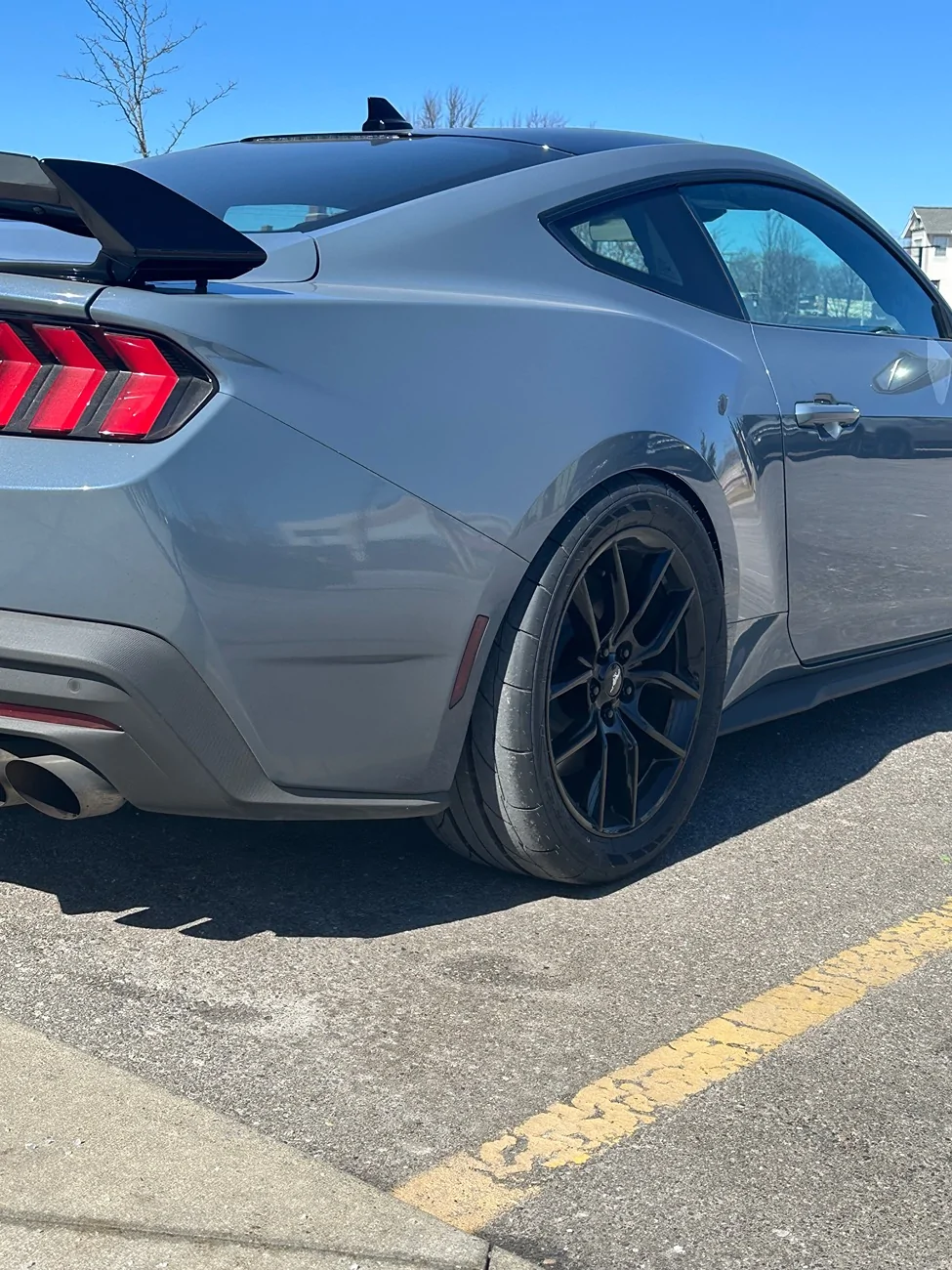 S650 Mustang Did I I ordered the wrong tire? IMG_3102