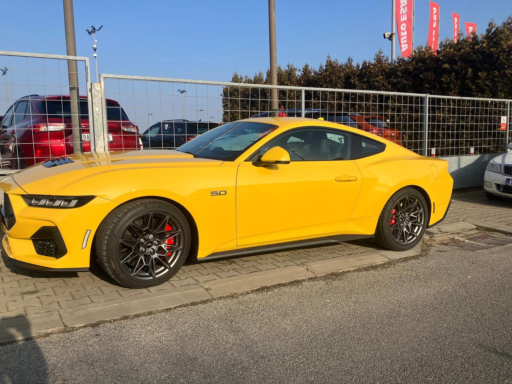 S650 Mustang Just under 2 years and 34k miles with my ‘24 GT IMG_5065
