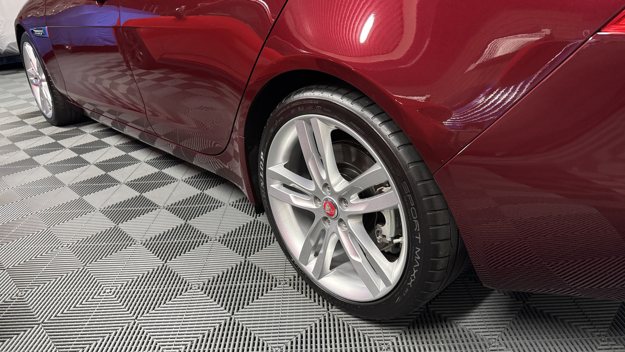 S650 Mustang DFB's Detailing Garage IMG-0523