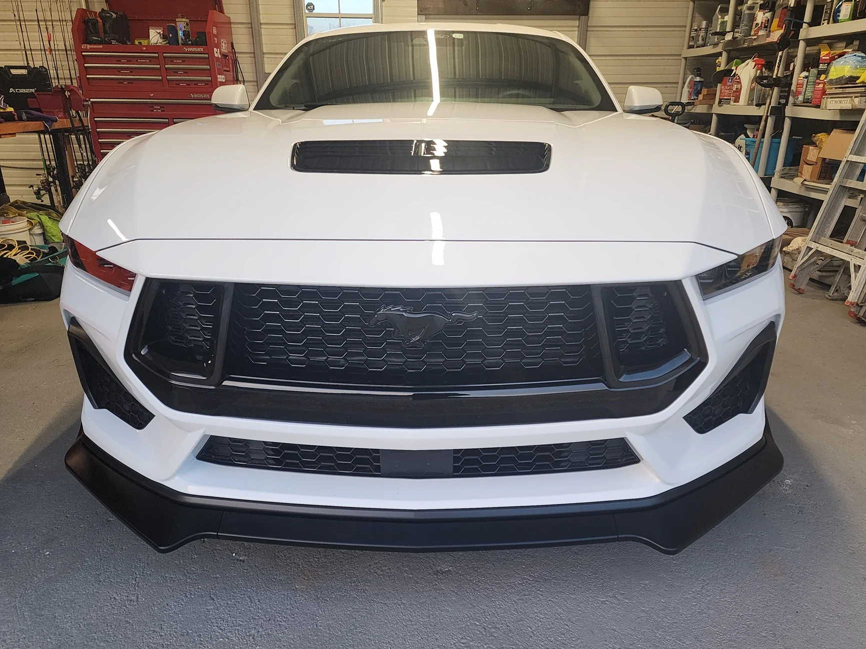 S650 Mustang Painting pony emblem on front grille 1000024109