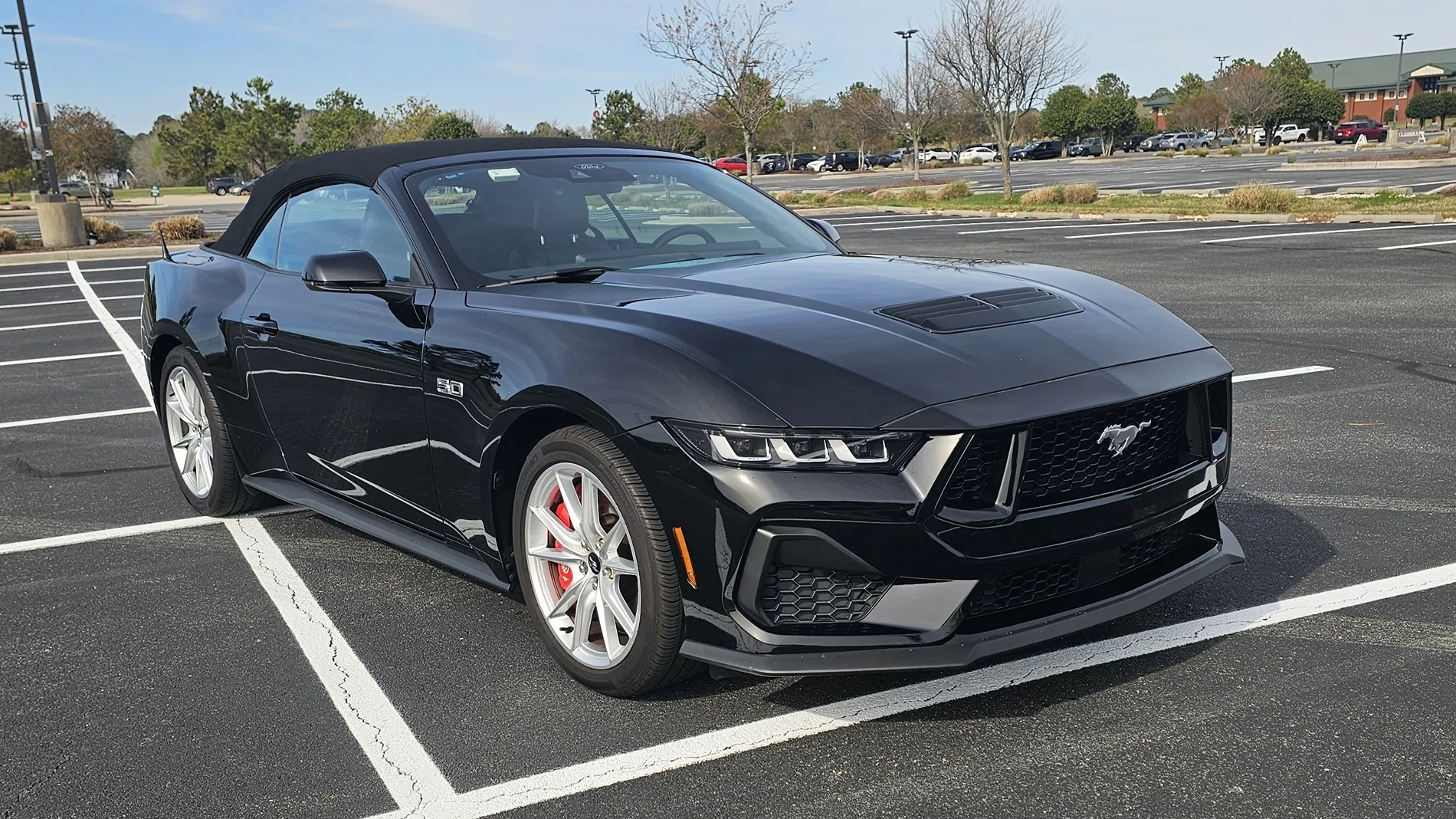 S650 Mustang Official SHADOW BLACK Mustang S650 Thread 20260407_161802