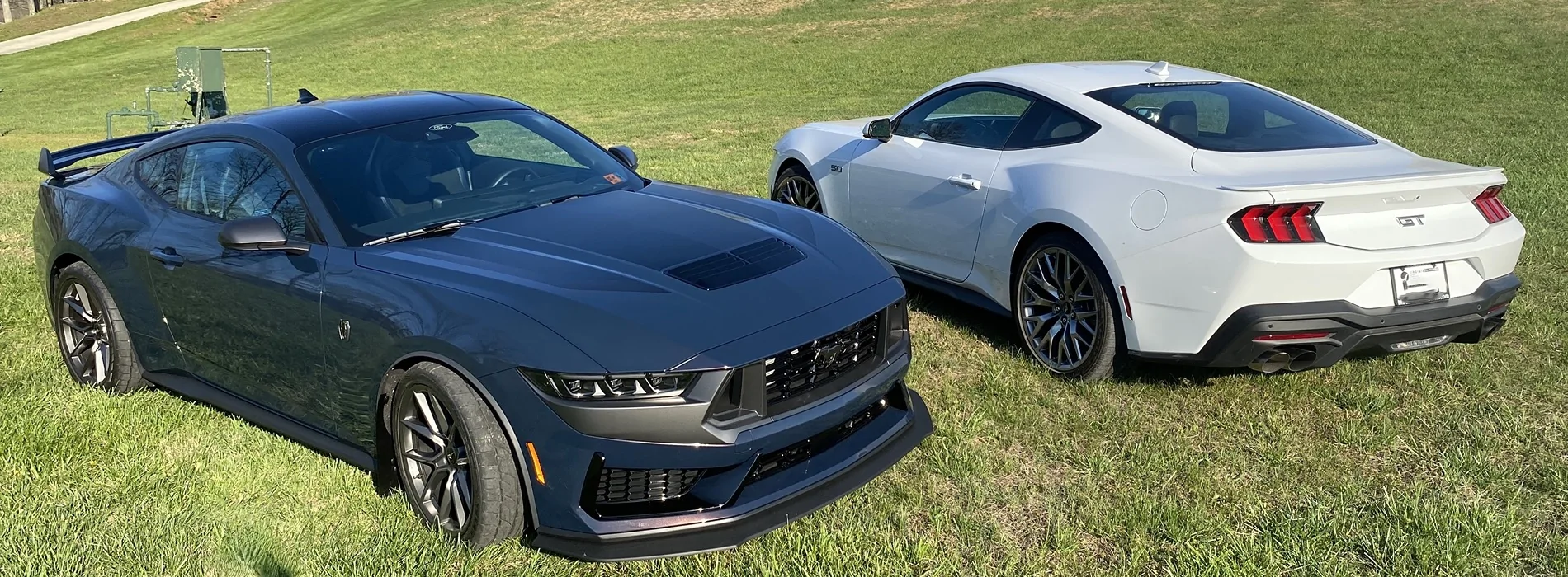 S650 Mustang Cool Daily Random S650 Mustang Pics -- Post Yours! 📸 IMG_8575