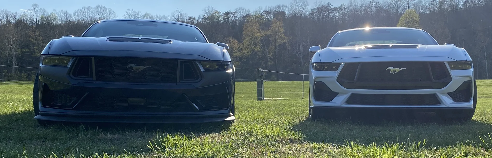 S650 Mustang Cool Daily Random S650 Mustang Pics -- Post Yours! 📸 IMG_8576
