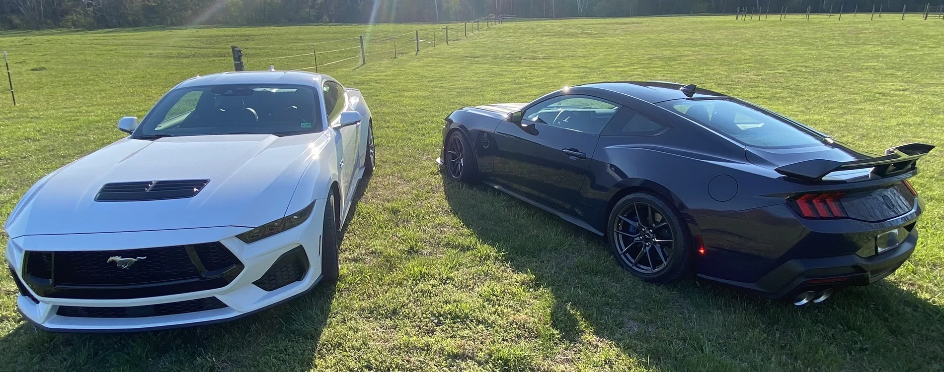 S650 Mustang Cool Daily Random S650 Mustang Pics -- Post Yours! 📸 IMG_8574