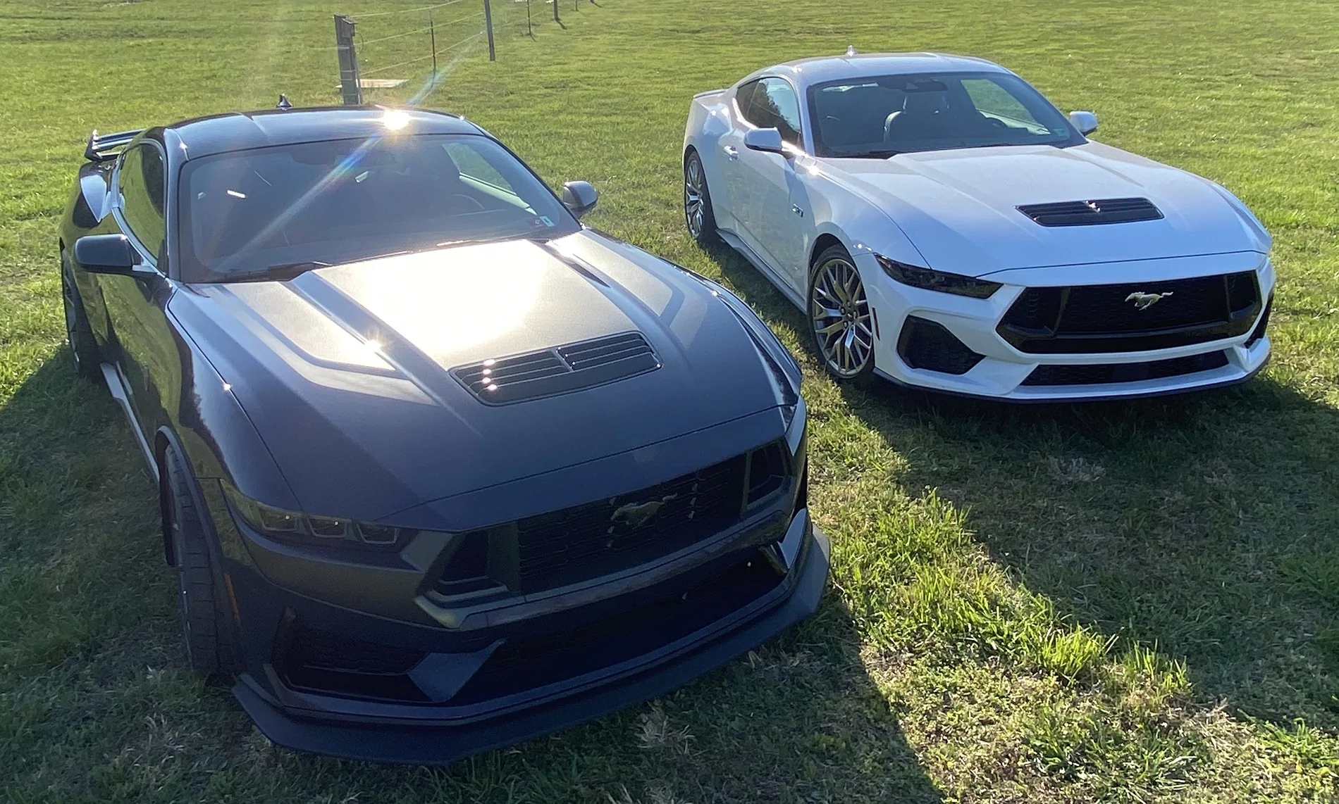 S650 Mustang Cool Daily Random S650 Mustang Pics -- Post Yours! 📸 IMG_8577