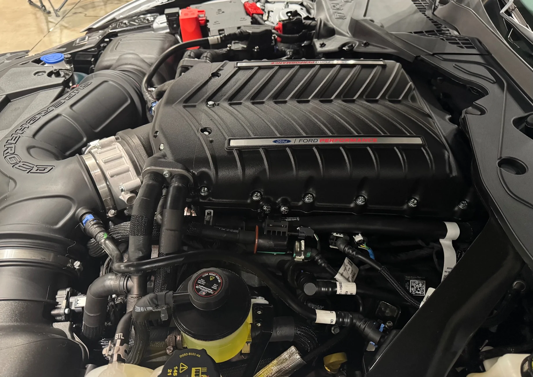 S650 Mustang Audiophile System Build in 2026 Mustang IMG_3113