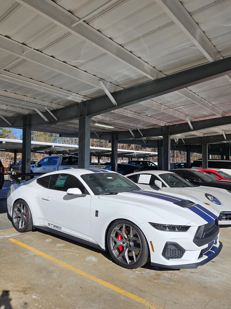 S650 Mustang New Dark Horse-But saw the GT350 1000014967