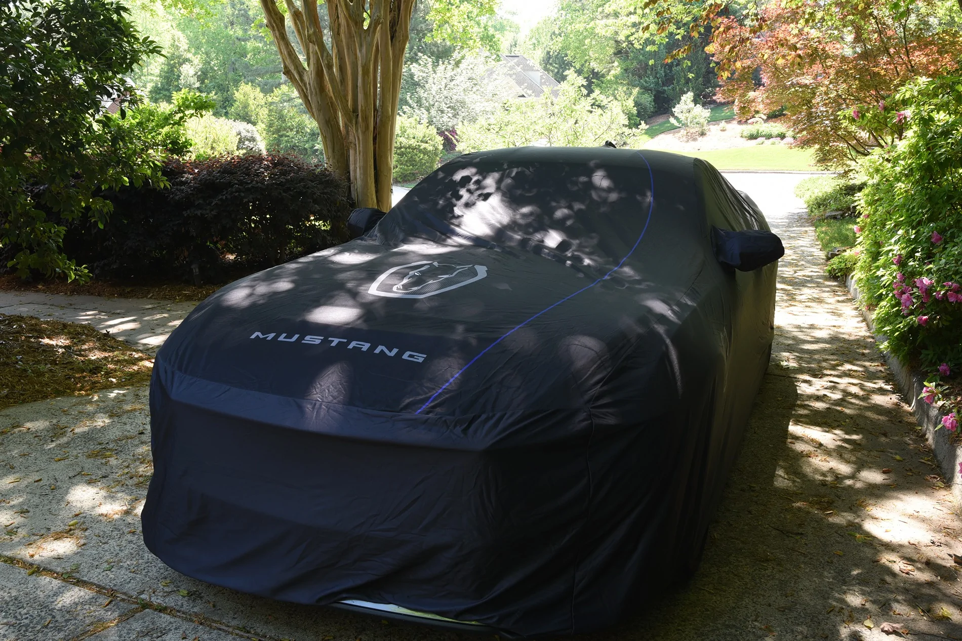 S650 Mustang Dark Horse car cover DSC_7813