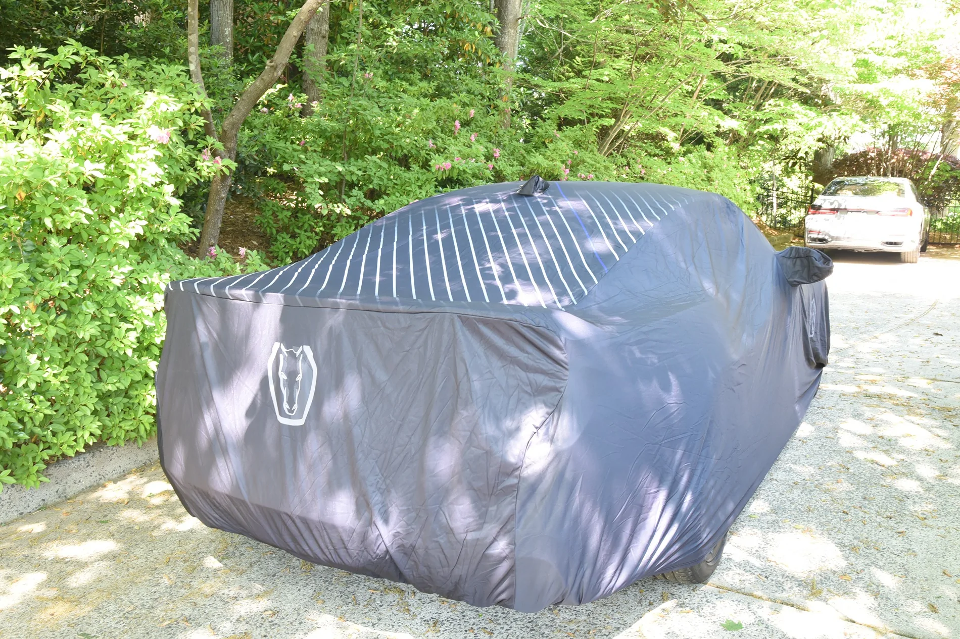 S650 Mustang Dark Horse car cover DSC_7814