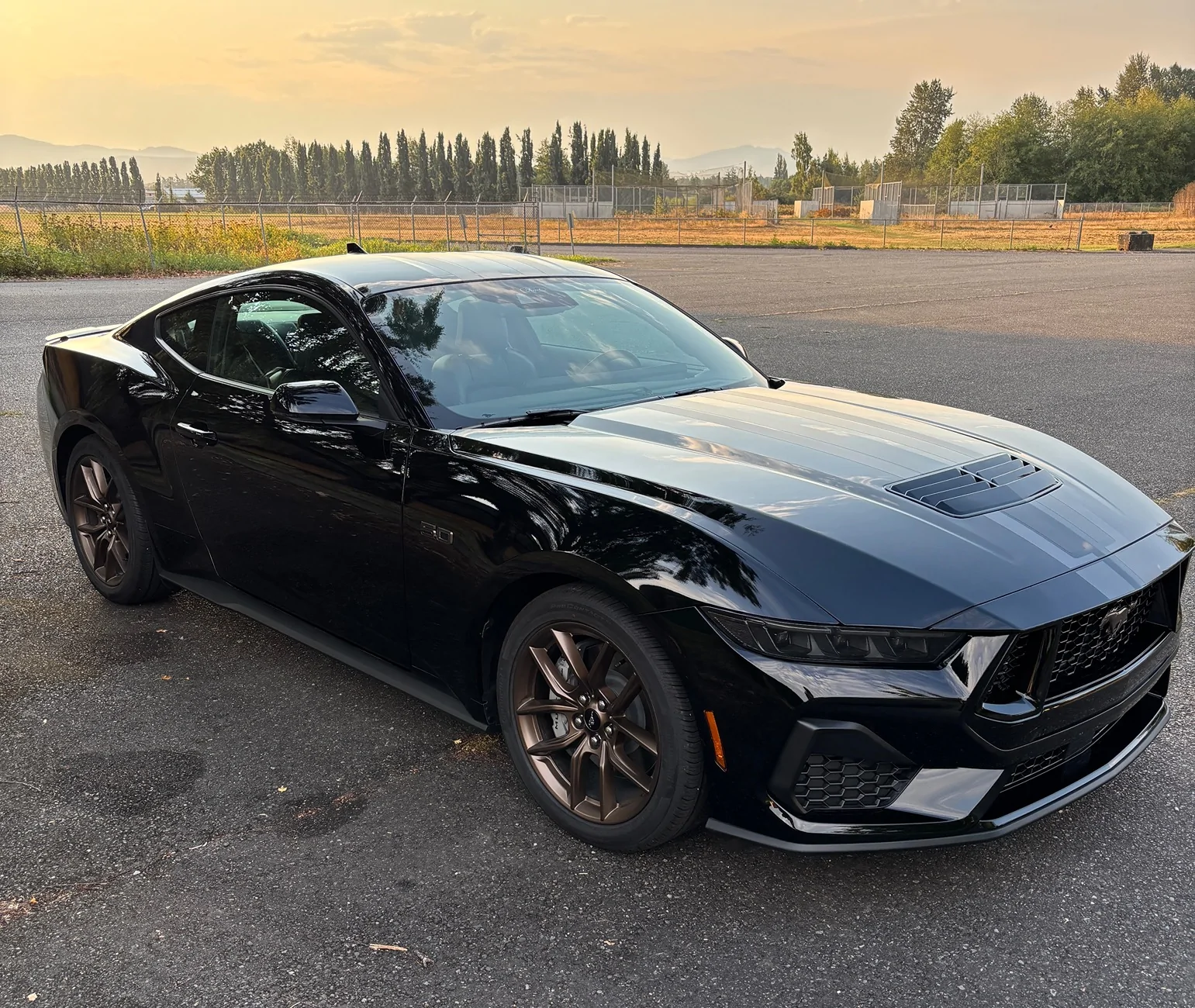 S650 Mustang Official SHADOW BLACK Mustang S650 Thread IMG_3099