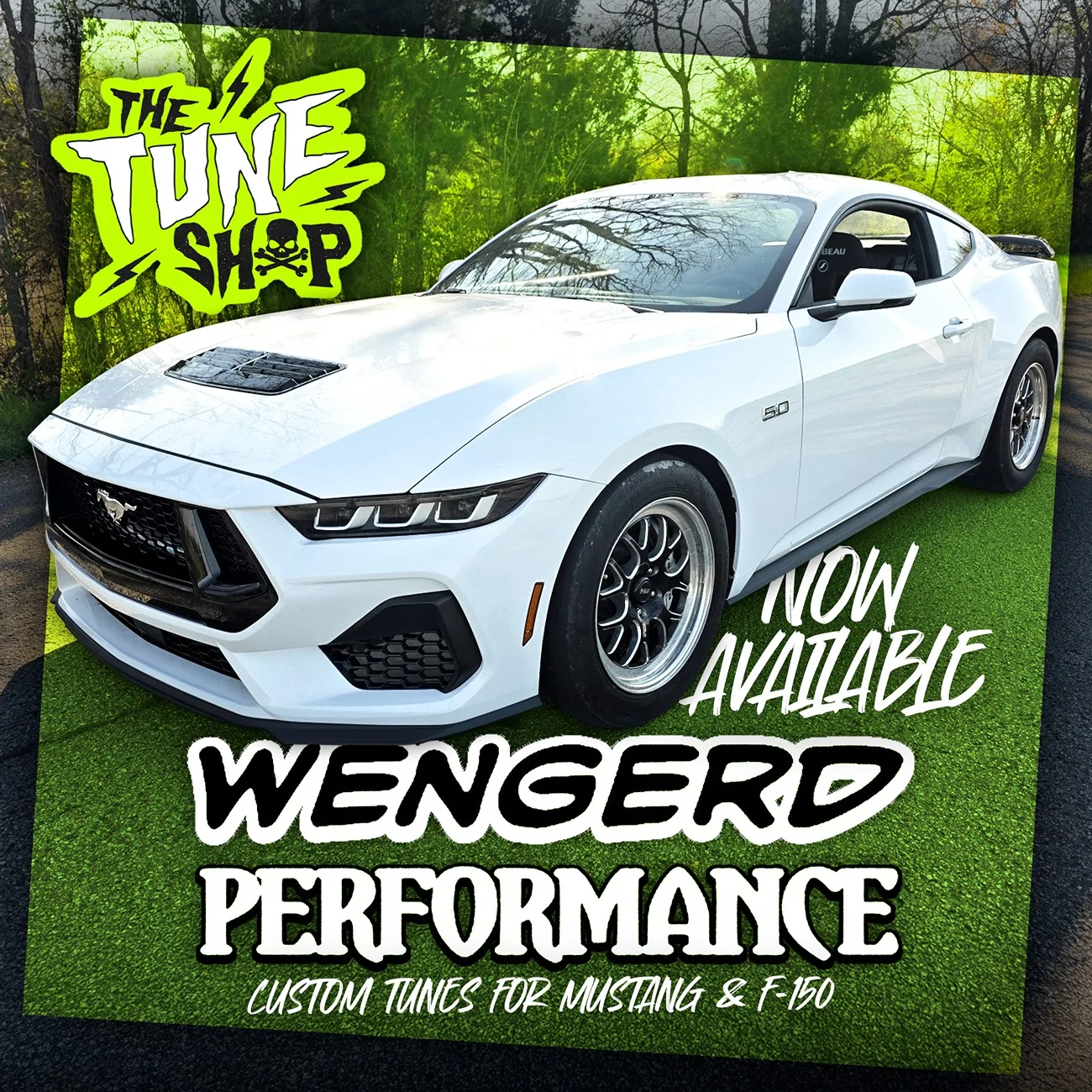 S650 Mustang Wengerd Tuning - the Newest Addition to the Lethal Performance Tune Shop 1000023523