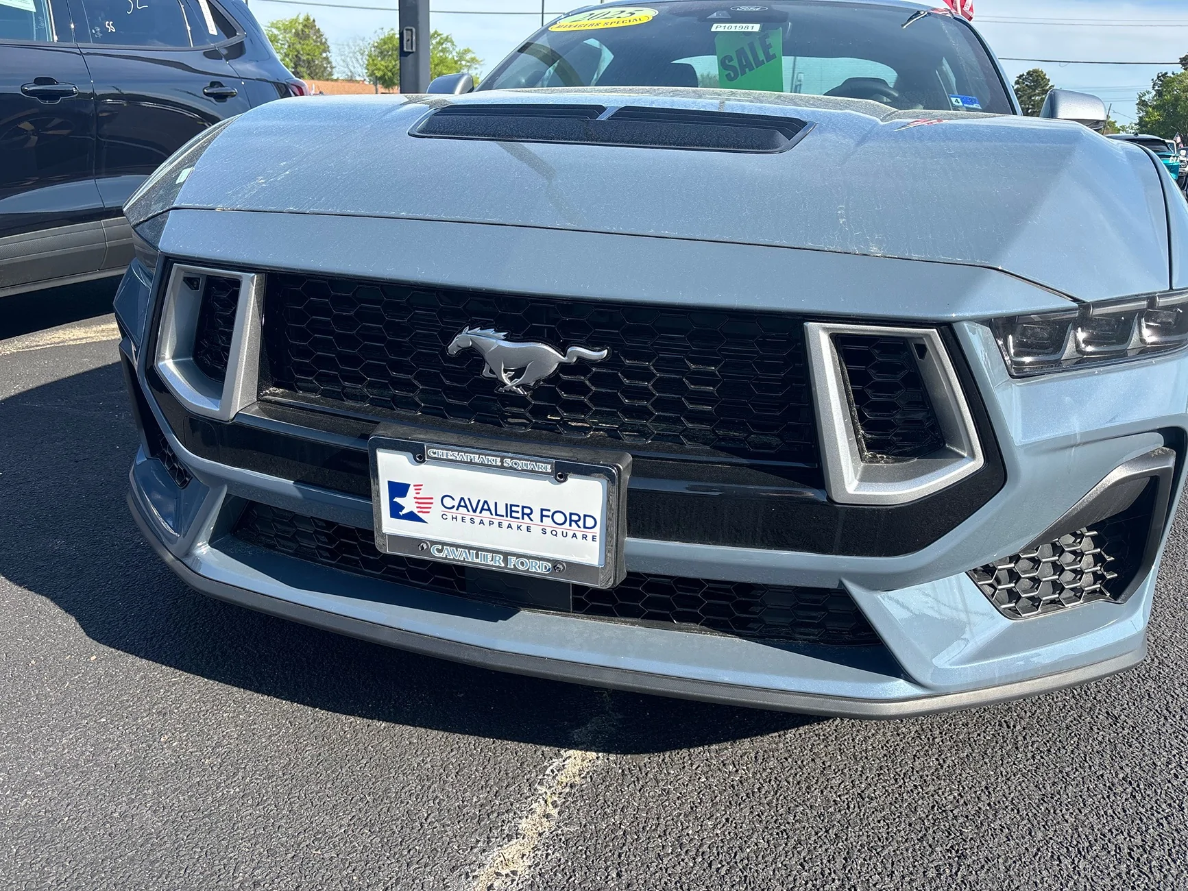 S650 Mustang Steeda Mustang GT Silver Grille Overlays IMG_4552