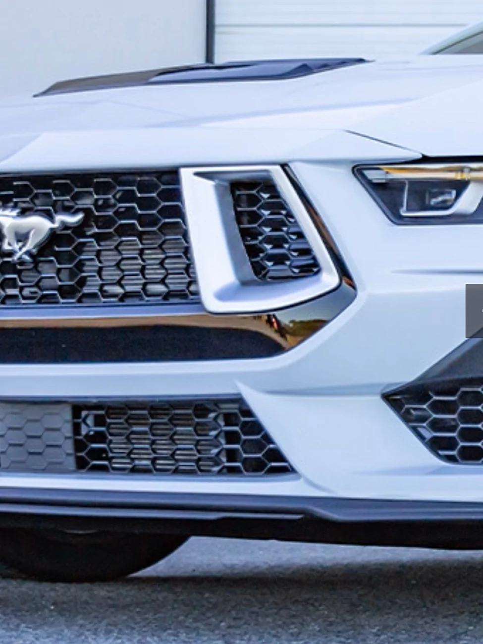 S650 Mustang Steeda Mustang GT Silver Grille Overlays IMG_4636