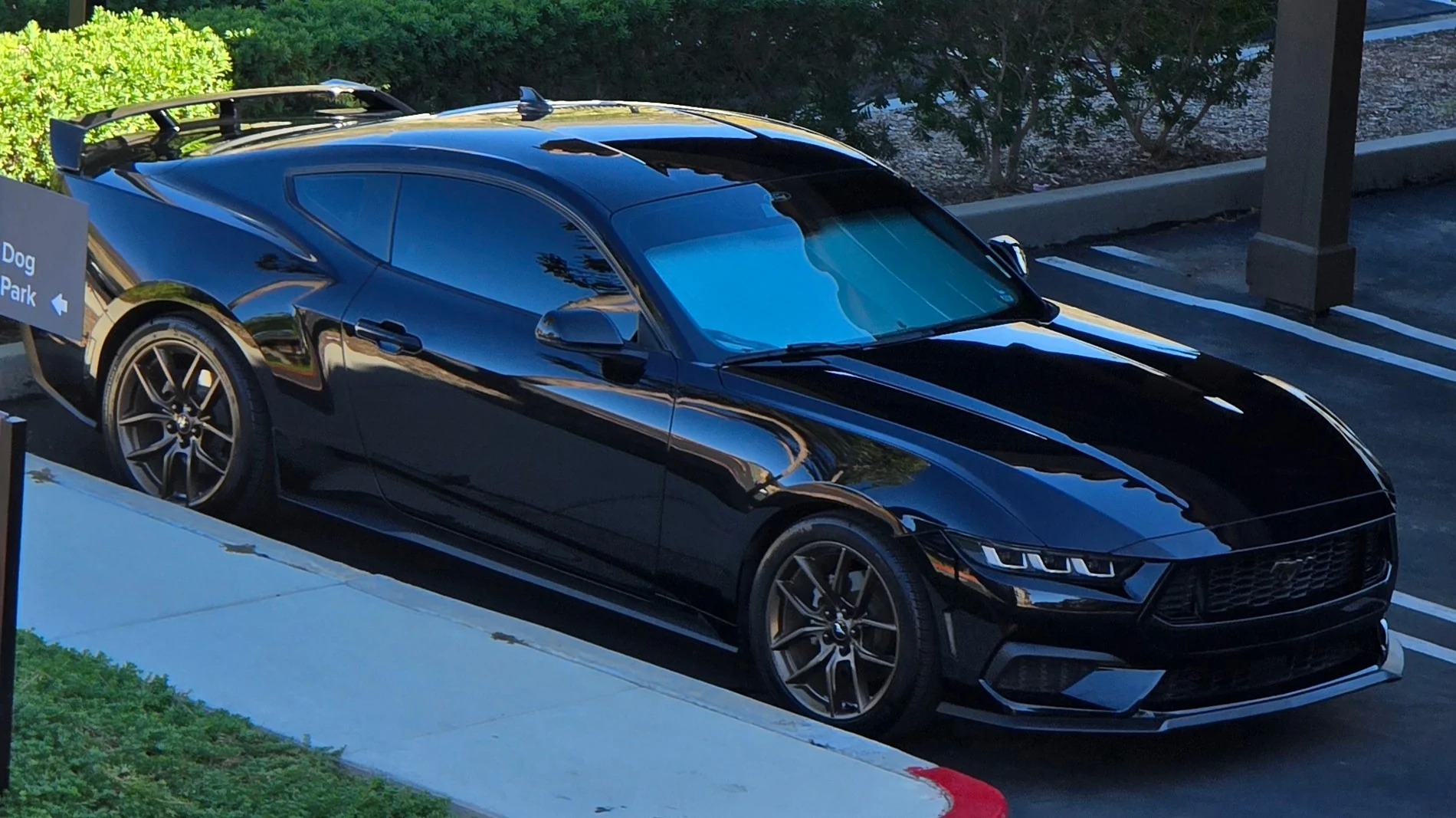 S650 Mustang Viking's Black EcoBeast Build 595818-3351288d0f40ece56ac2445f82756ff6