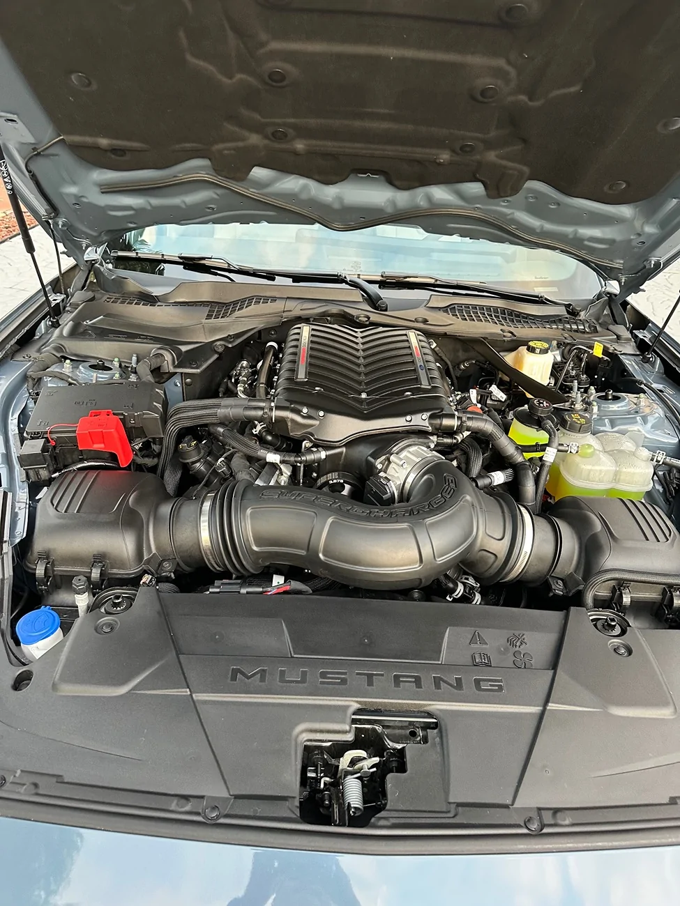S650 Mustang What Ford paid for the SHELBY nameplate IMG_6234