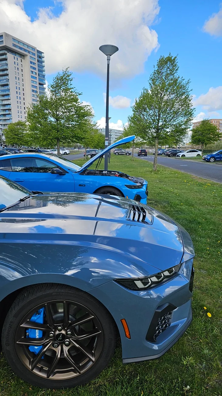 S650 Mustang Vapid Dominator GT (10R80, 401A, PP, AE, NPP, MR, Recaro) 20260419_165827