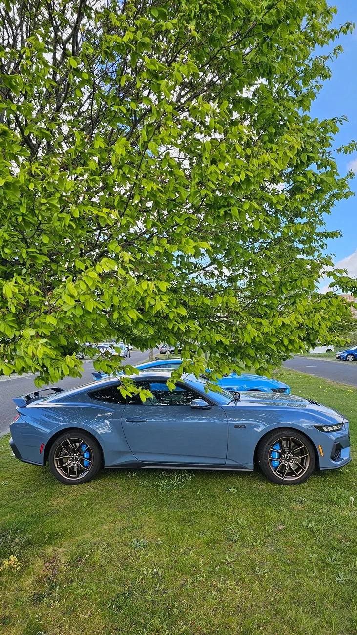S650 Mustang Vapid Dominator GT (10R80, 401A, PP, AE, NPP, MR, Recaro) 20260419_165859