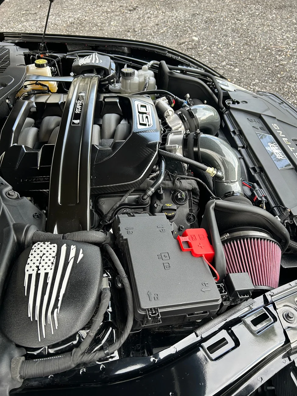 S650 Mustang Air intake suggestions / recommendations? IMG_2703