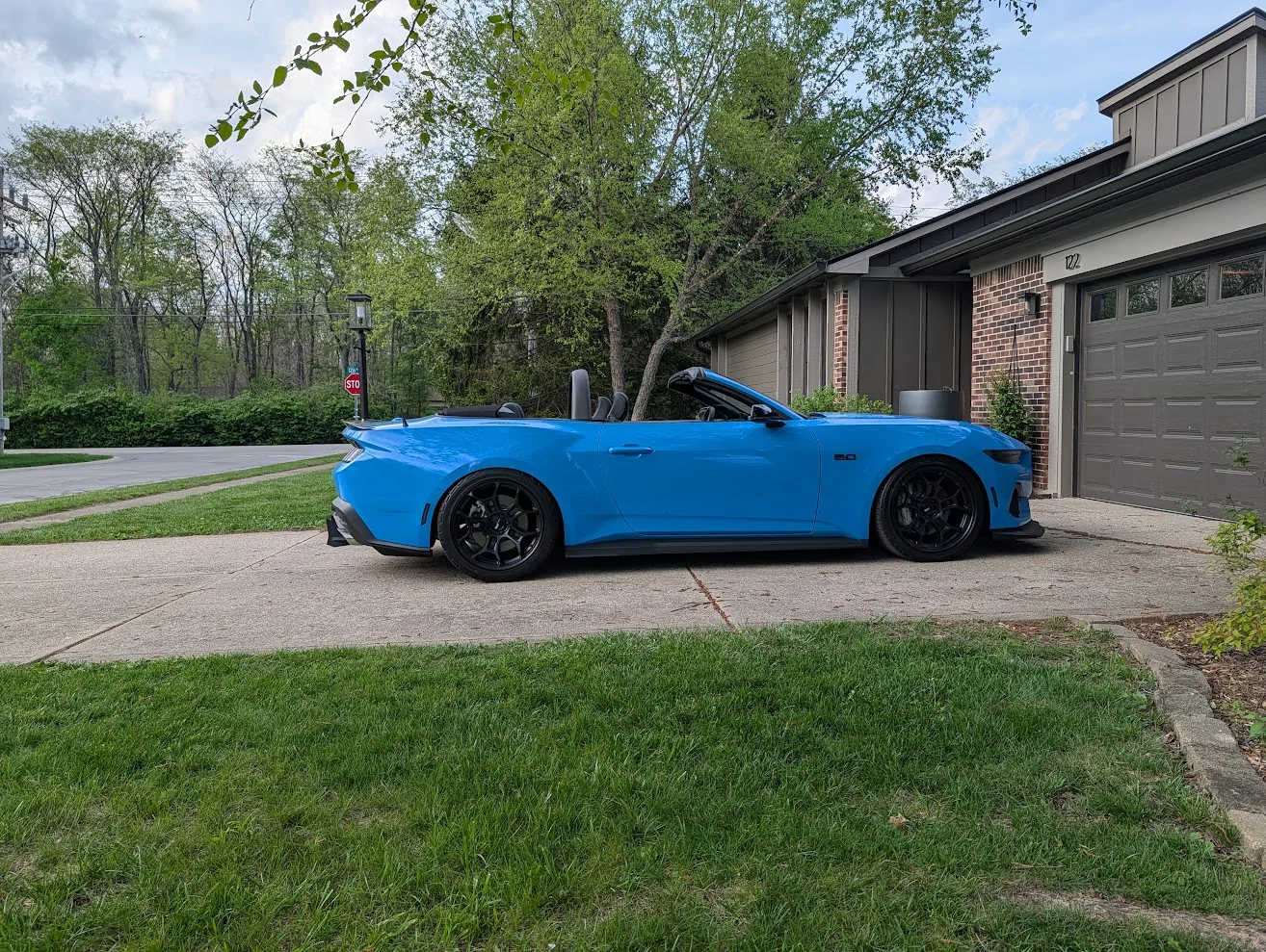 Mustang.webp
