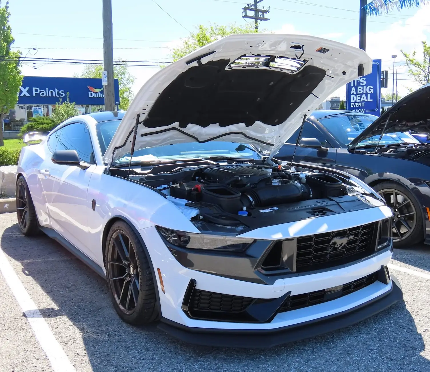 S650 Mustang Calling all suspension experts to reverse engineer a Dark Horse suspension setup 1776906732739-fo