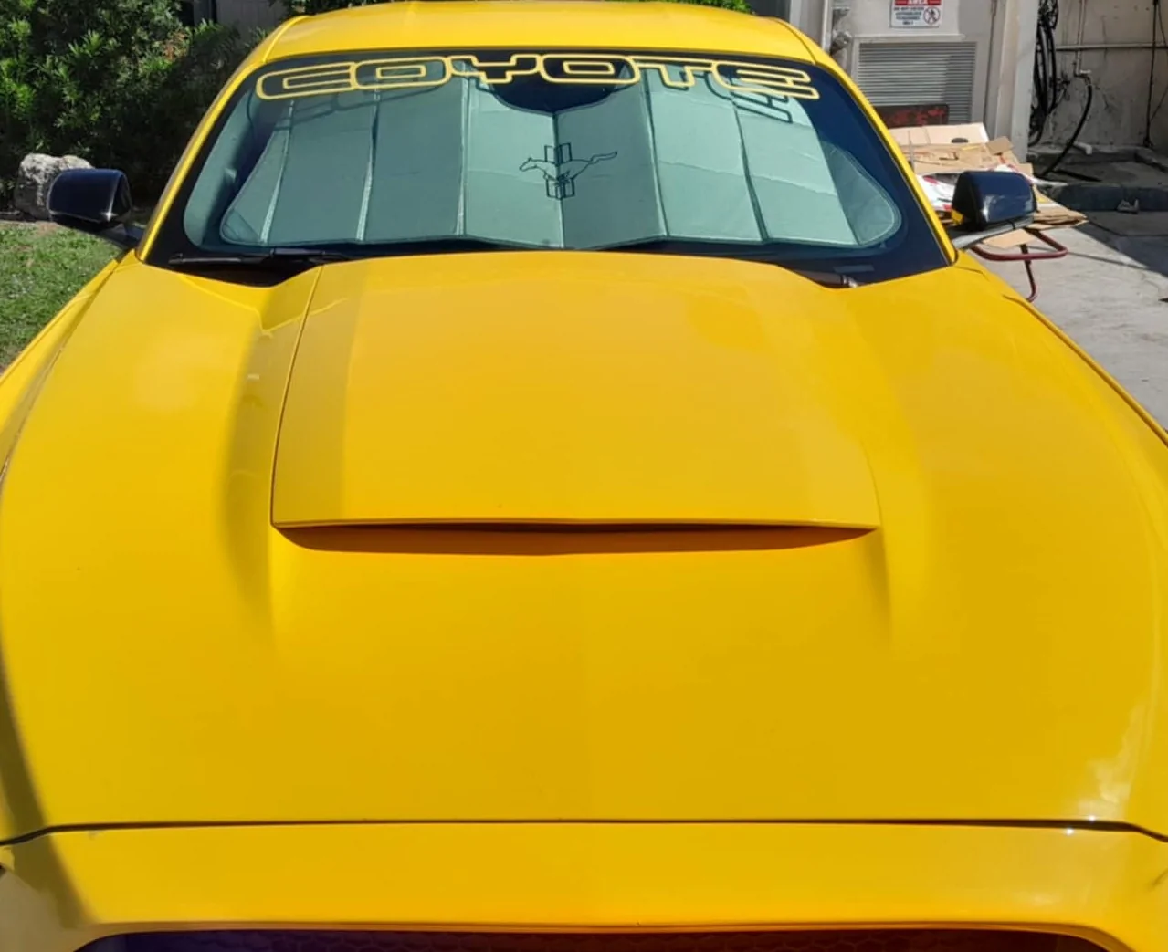 S650 Mustang How much are they paying bro XD yello
