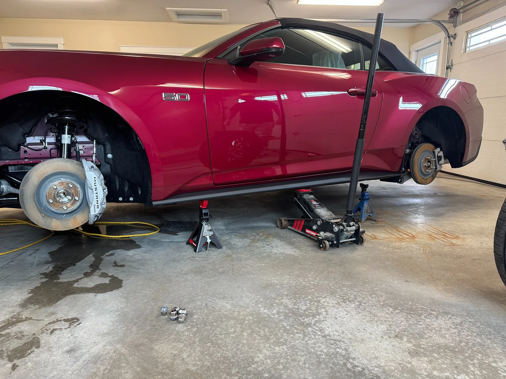 S650 Mustang Ceramic Coating - New Mustang GT IMG_3324