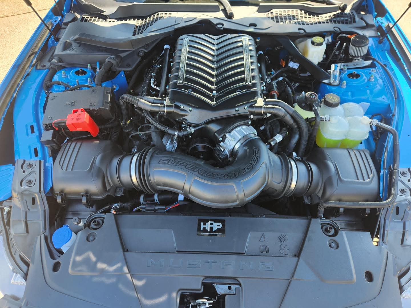 S650 Mustang BuckeyeBOSS' Grabber Blue Dark Horse Build FB_IMG_1776195467144
