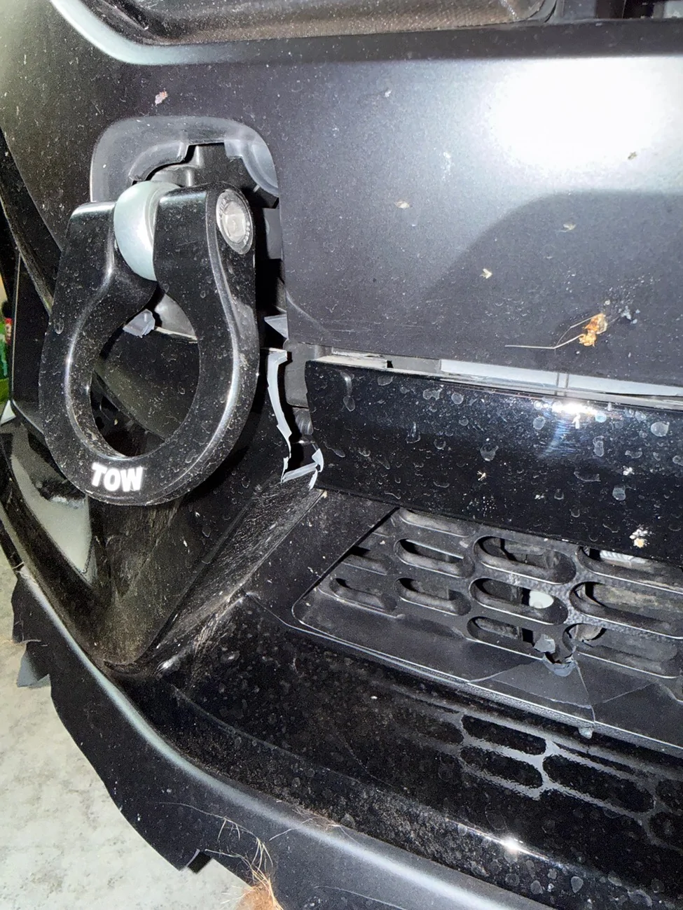 S650 Mustang Hit a Coyote With My Coyote IMG_3211