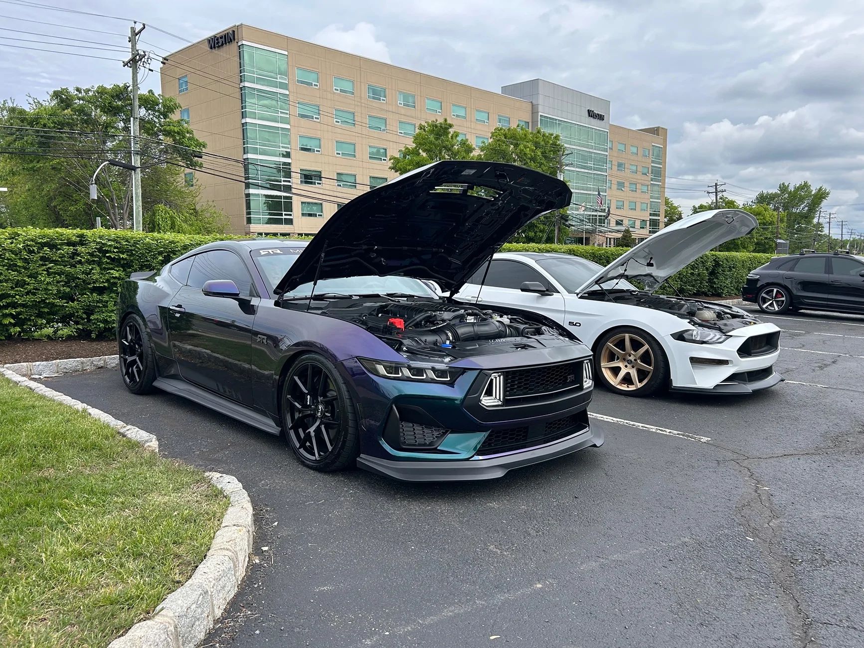 S650 Mustang 2025 Mystichrome RTR Spec 3 Journal IMG_0010