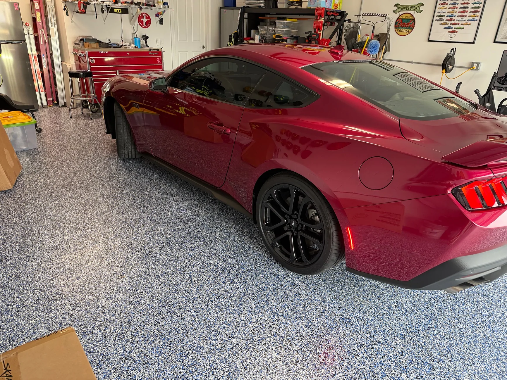S650 Mustang Official MOLTEN MAGENTA Mustang S650 Thread IMG_0706