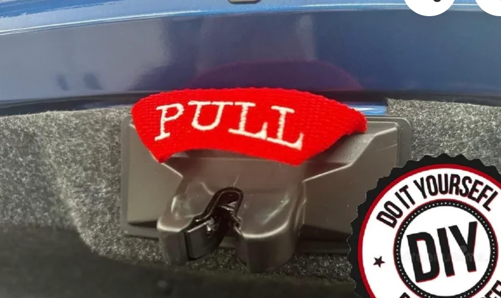 S650 Mustang How do you close your trunk?  Without a handle . . . 3556