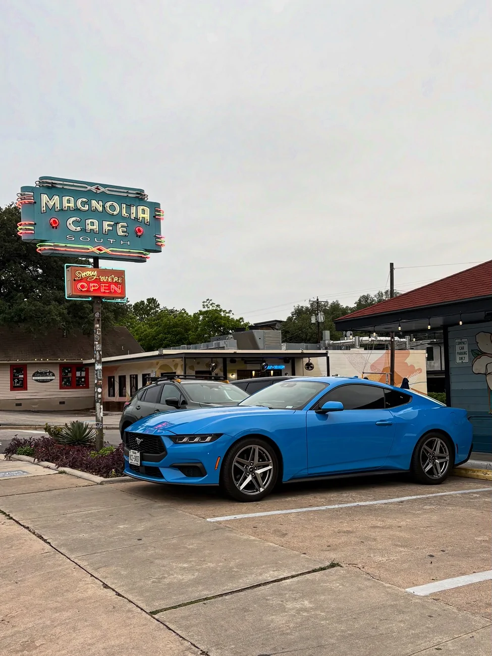 S650 Mustang Cool Daily Random S650 Mustang Pics -- Post Yours! 📸 848336D6-502A-4DEB-BA41-84DA7DE0747D
