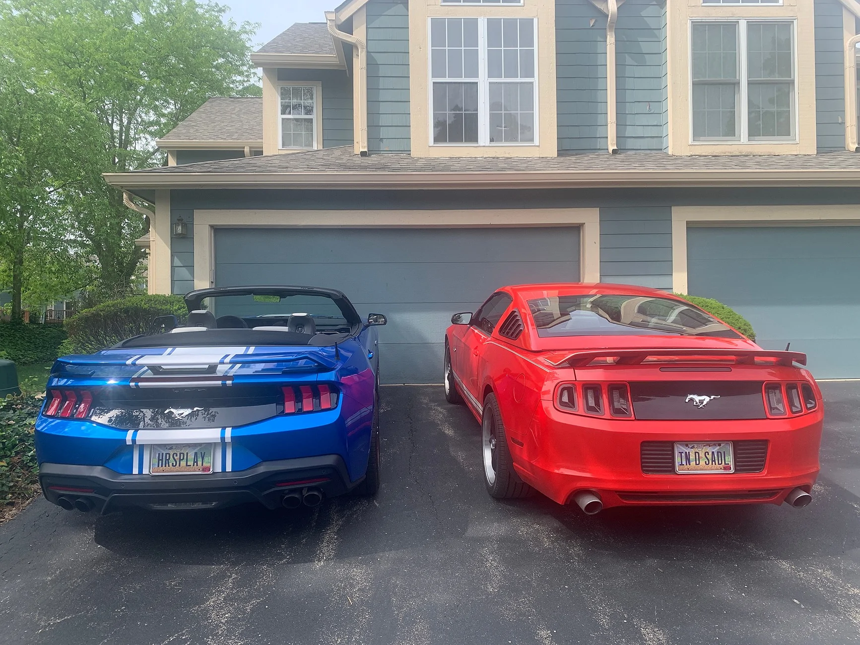 S650 Mustang Daisy’s First Photo Shoot The Driveway