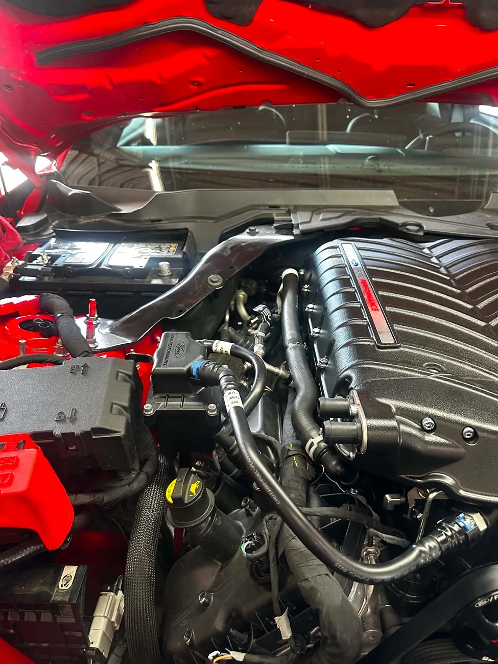 S650 Mustang Finally Picked It Up! Whipple Installed! Just Wow. att.x1cW7vlblsbzMI7JFKvRvkjcNmTSf6xnnIgNviyygA8