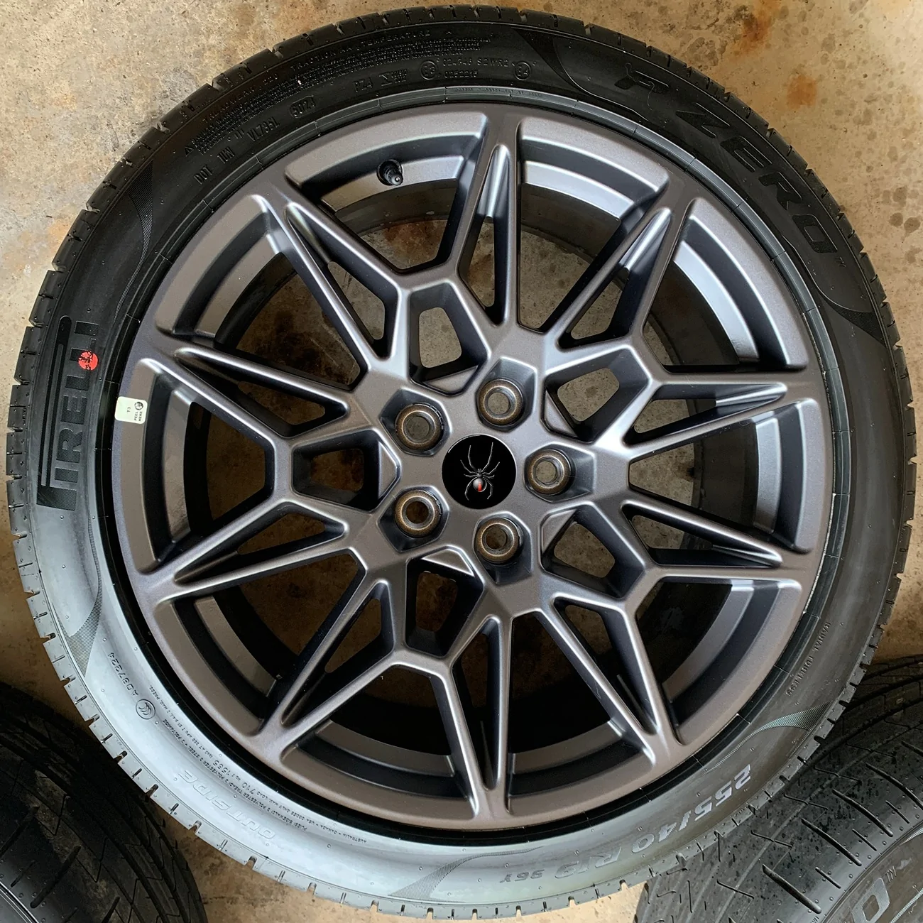 S650 Mustang Daisy’s First Photo Shoot Redback Wheel