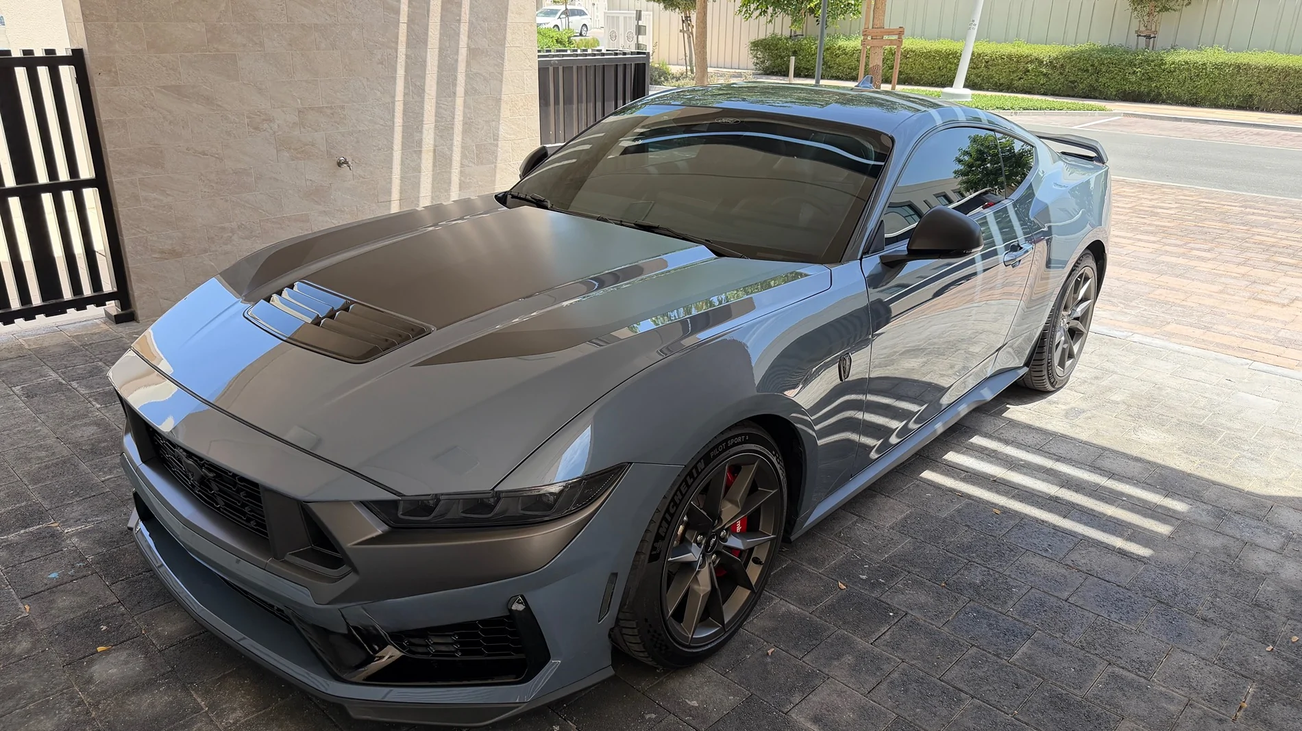 S650 Mustang Cool Daily Random S650 Mustang Pics -- Post Yours! 📸 IMG_6409